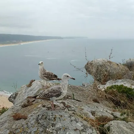 Gino's House Apartament