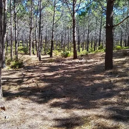 Lägenhet Gino's House