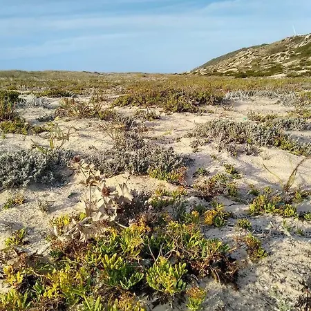 Apartament Gino's House *