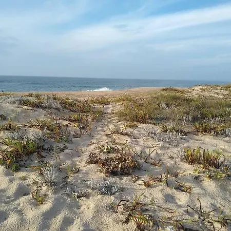 Gino's House Apartament Nazaré